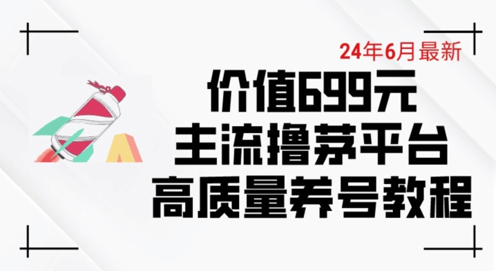 6月最新价值699的主流撸茅台平台精品养号下车攻略网赚项目-美肚杀分享