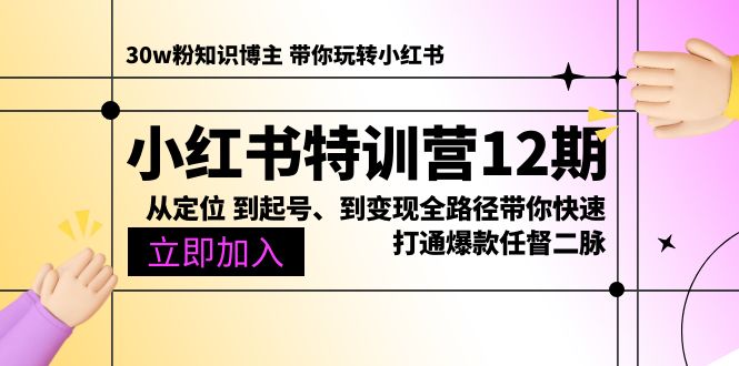 小红书特训营12期：从定位 到起号、到变现全路径带你快速打通爆款任督二脉网赚项目-美肚杀分享