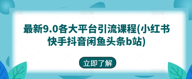 最新9.0各大平台引流课程(小红书快手抖音闲鱼头条b站)网赚项目-美肚杀分享