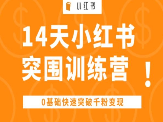 14天小红书突围训练营 ,0基础快速突破千粉变现网赚项目-美肚杀分享
