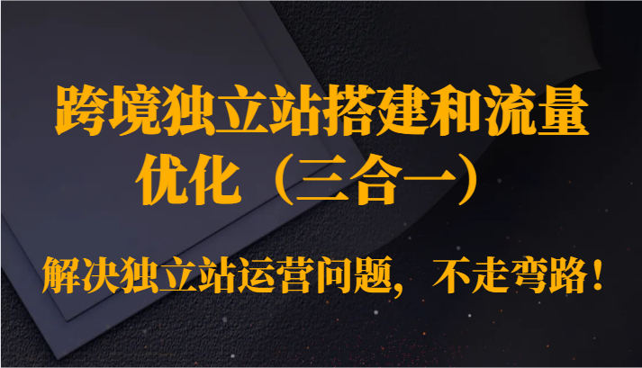 跨境独立站搭建和流量优化(三合一)解决独立站运营问题,不走弯路!网赚项目-美肚杀分享
