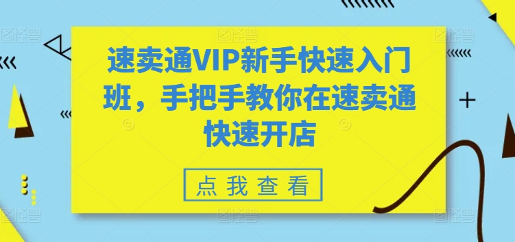 速卖通VIP新手快速入门班，手把手教你在速卖通快速开店网赚项目-美肚杀分享