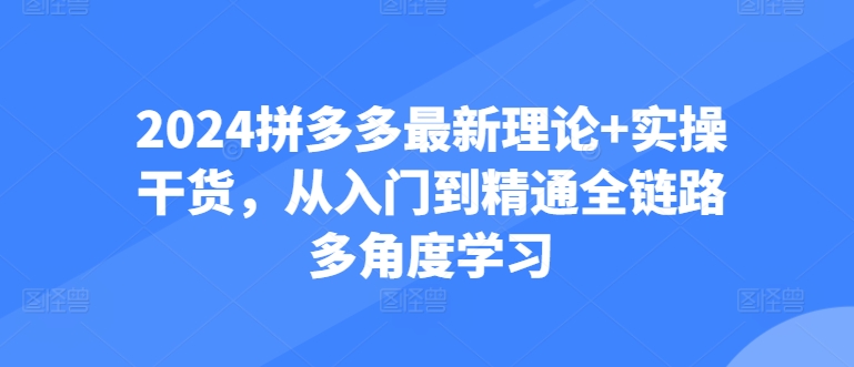 2024拼多多最新理论+实操干货，从入门到精通全链路多角度学习网赚项目-美肚杀分享