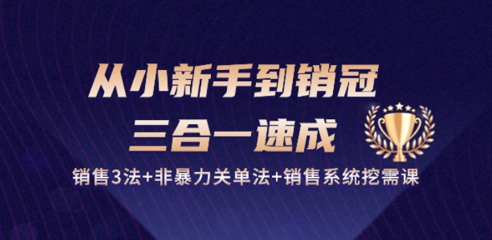 从小新手到销冠 三合一速成:销售3法+非暴力关单法+销售系统挖需课 (27节)网赚项目-美肚杀分享
