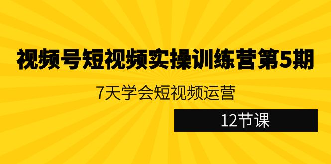 视频号短视频实操训练营第5期：7天学会短视频运营（12节课）网赚项目-美肚杀分享