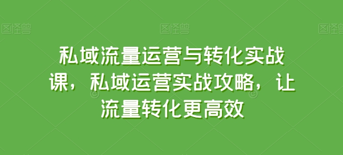 私域流量运营与转化实战课,私域运营实战攻略,让流量转化更高效网赚项目-美肚杀分享