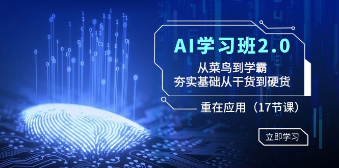 AI学习班2.0：从菜鸟到学霸，夯实基础从干货到硬货，重在应用（17节课）网赚项目-美肚杀分享