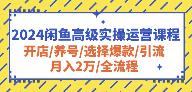 2024闲鱼高级实操运营课程:开店/养号/选择爆款/引流/月入2万/全流程网赚项目-美肚杀分享