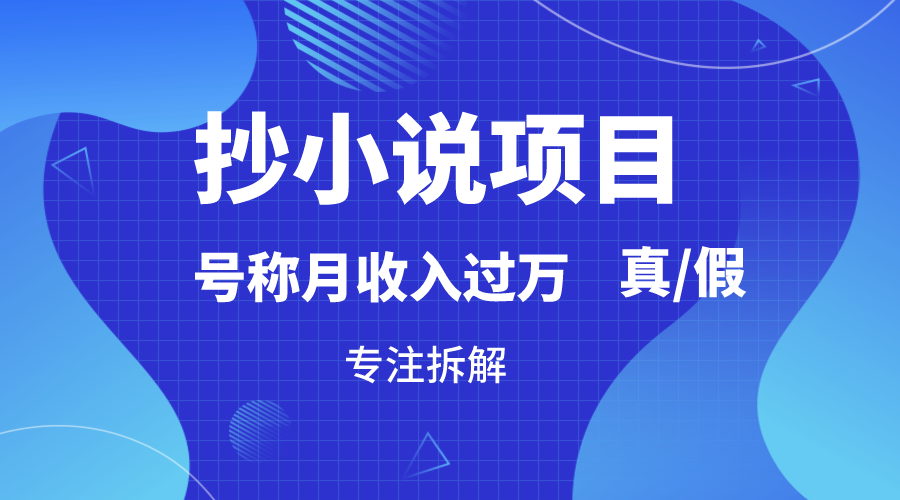 抄小说项目,号称月入过万,到底是否真实,能不能做,详细拆解网赚项目-美肚杀分享