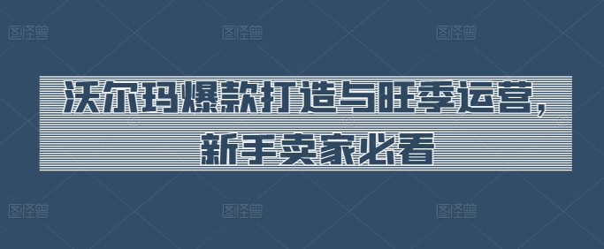 沃尔玛爆款打造与旺季运营,新手卖家必看网赚项目-美肚杀分享
