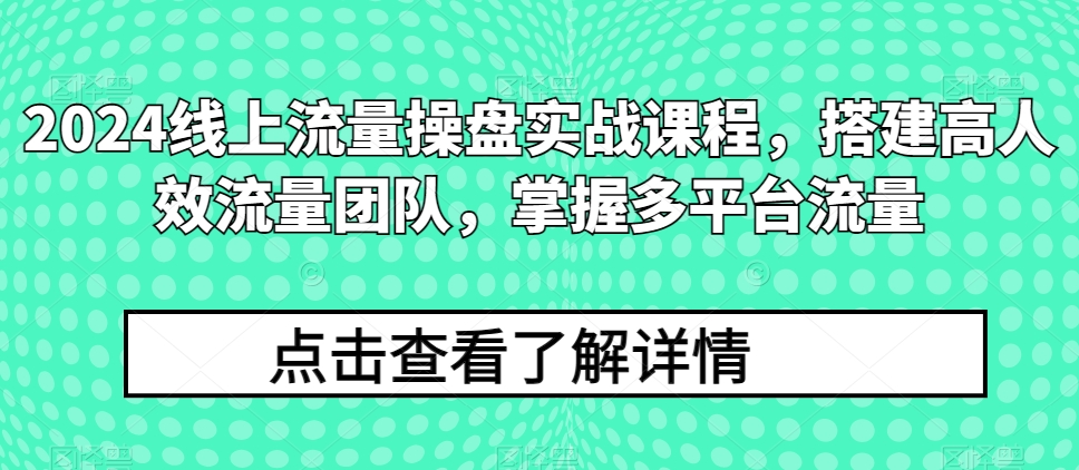 2024线上流量操盘实战课程，搭建高人效流量团队，掌握多平台流量网赚项目-美肚杀分享