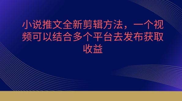 小说推文全新剪辑方法，一个视频可以结合多个平台去发布获取网赚项目-美肚杀分享