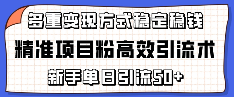 精准项目粉高效引流术,新手单日引流50+,多重变现方式稳定赚钱网赚项目-美肚杀分享