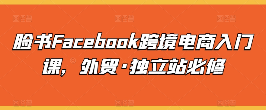 脸书Facebook跨境电商入门课,外贸·独立站必修网赚项目-美肚杀分享