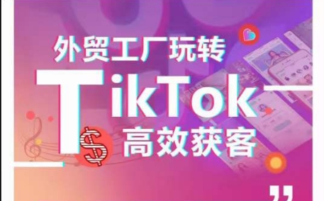 外贸工厂玩转TikTok高效获客,多种引流方式与账号定位技巧,拆解爆款短视频打造成功案例网赚项目-美肚杀分享