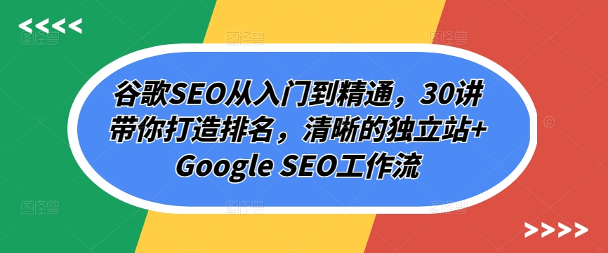 谷歌SEO从入门到精通,30讲带你打造排名,清晰的独立站+Google SEO工作流网赚项目-美肚杀分享