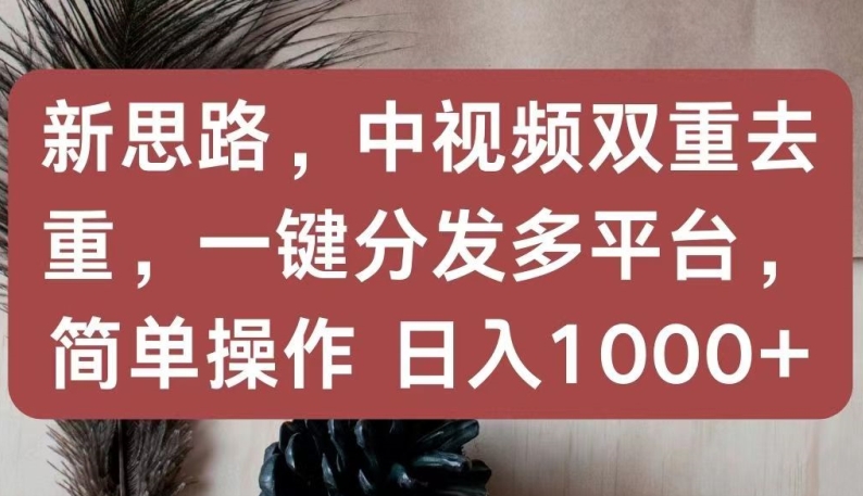 新思路，中视频双重去重，一键分发多平台，简单操作，日入1000+网赚项目-美肚杀分享