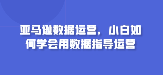 亚马逊数据运营,小白如何学会用数据指导运营网赚项目-美肚杀分享