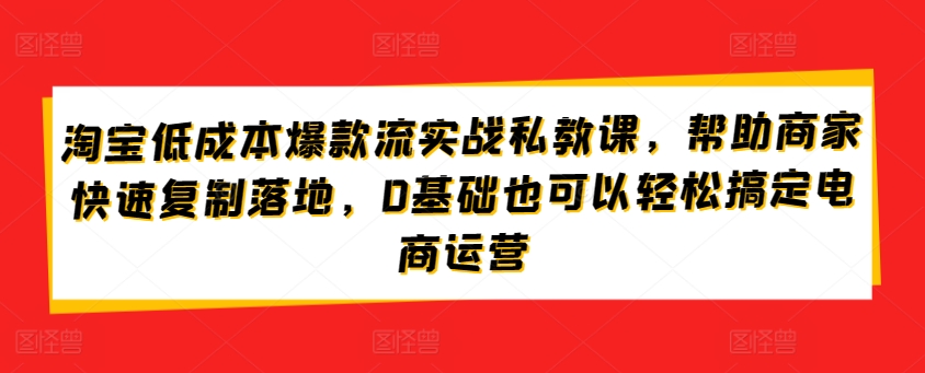 淘宝低成本爆款流实战私教课,帮助商家快速复制落地,0基础也可以轻松搞定电商运营网赚项目-美肚杀分享