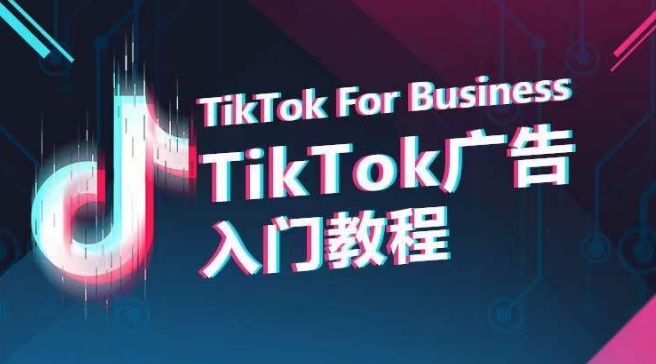TikTok广告入门教程，从0到1掌握TikTok投放的全流程网赚项目-美肚杀分享