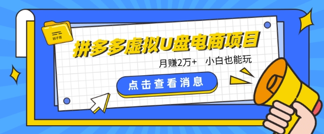拼多多虚拟U盘电商红利项目：月赚2万+，新手小白也能玩网赚项目-美肚杀分享