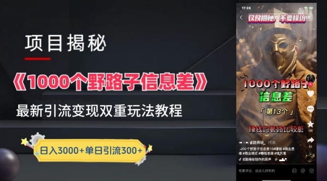 一千个野路子信息差最新玩法教程-美肚杀分享