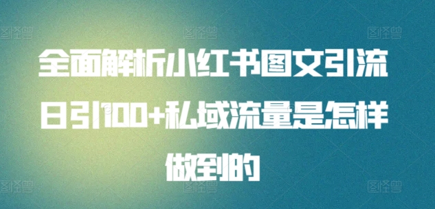 全面解析小红书图文引流日引100+私域流量是怎样做到的网赚项目-美肚杀分享