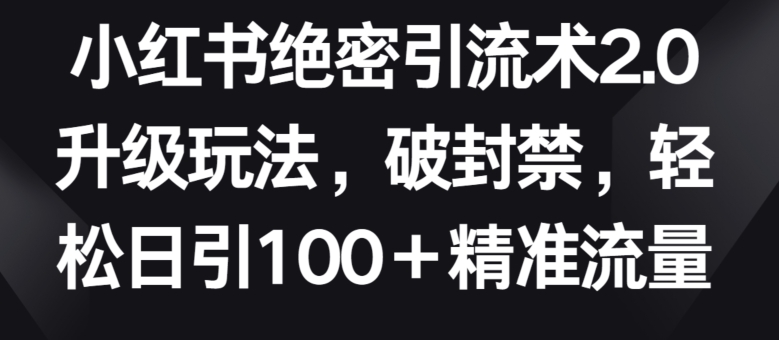 小红书绝密引流术2.0升级玩法,破封禁,轻松日引100+精准流量网赚项目-美肚杀分享