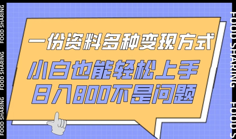 一份资料多种变现方式，小白也能轻松上手，日入800不是问题网赚项目-美肚杀分享
