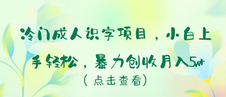 冷门成人识字项目，小白上手轻松，暴力创收月入5w+网赚项目-美肚杀分享