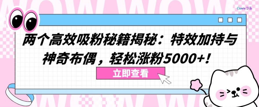 两个高效吸粉秘籍揭秘：特效加持与神奇布偶，轻松涨粉5000+网赚项目-美肚杀分享