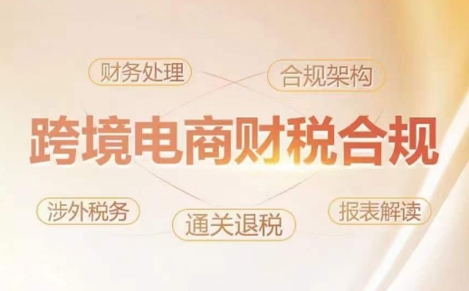 跨境老板财税合规特训营，规避财税风险、提升企业利润网赚项目-美肚杀分享