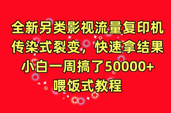 全新另类影视流量复印机，传染式裂变，快速拿结果，小白一周搞了50000+，喂饭式教程网赚项目-美肚杀分享