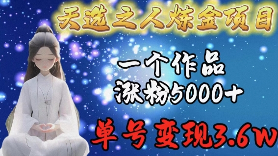 天选之人炼金项目,一个作品涨粉5000+,单号变现3.6w网赚项目-美肚杀分享