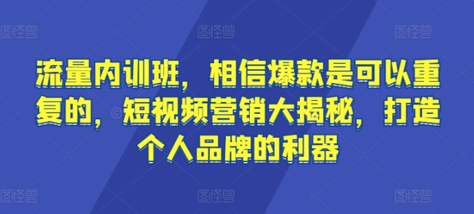 流量内训班，相信爆款是可以重复的，短视频营销大揭秘，打造个人品牌的利器网赚项目-美肚杀分享