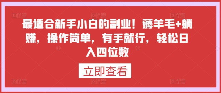 最适合新手小白的副业！薅羊毛+躺赚，操作简单，有手就行，轻松日入四位数网赚项目-美肚杀分享