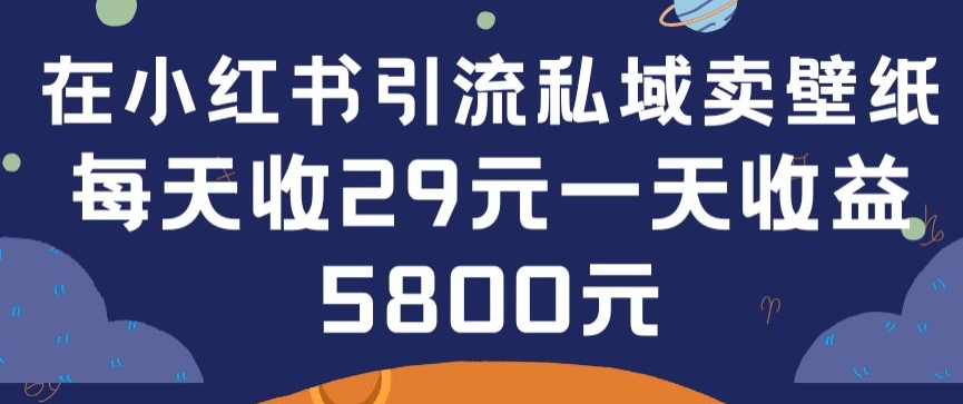 在小红书引流私域卖壁纸每张29元单日最高卖出200张(0-美肚杀分享
