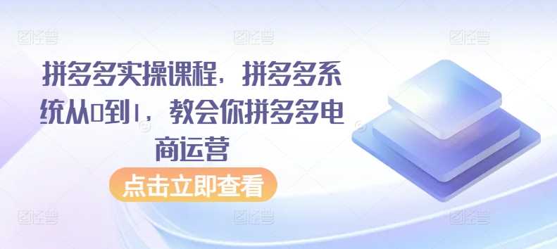 拼多多实操课程，拼多多系统从0到1，教会你拼多多电商运营网赚项目-美肚杀分享