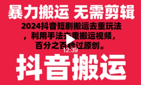 2024最新抖音搬运技术,抖音短剧视频去重,手法搬运,利用工具去重,达到秒过原创的效果网赚项目-美肚杀分享
