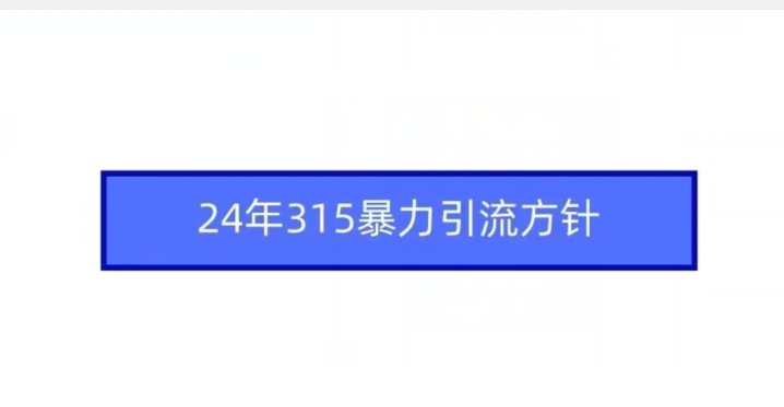 24年315暴力引流方针网赚项目-美肚杀分享