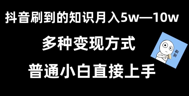 抖音刷到的知识，每天只需2小时，日入2000+，暴力变现，普通小白直接上手网赚项目-美肚杀分享