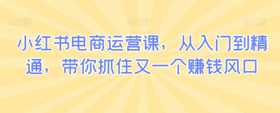 小红书电商运营课，从入门到精通，带你抓住又一个赚钱风口网赚项目-美肚杀分享