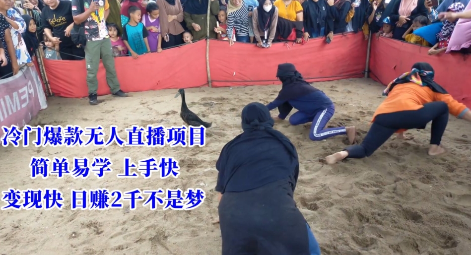 冷门爆款无人直播项目,简单易学上手快,变现快日赚2千不是梦网赚项目-美肚杀分享