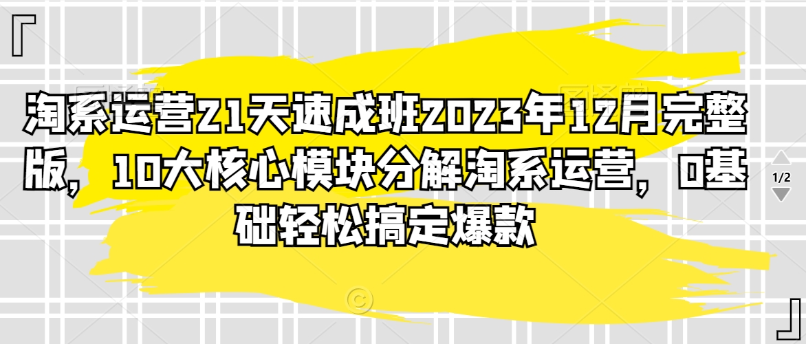 淘系运营21天速成班2023年12月完整版,10大核心模块分解淘系运营,0基础轻松搞定爆款网赚项目-美肚杀分享