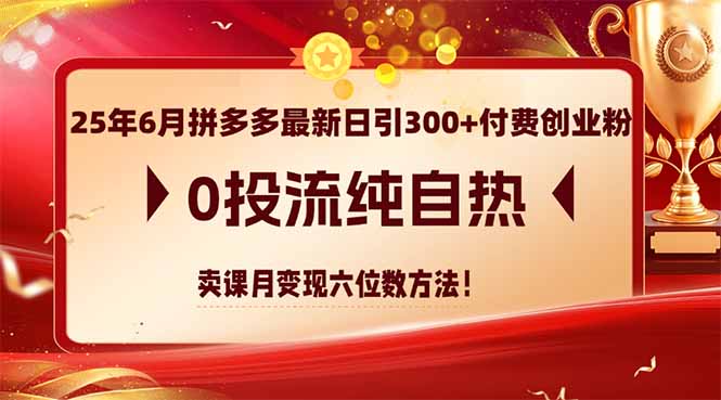 25年6月拼多多最新日引300+付费创业粉,0投流纯自热 卖课月变现六位数方法网赚项目-美肚杀分享