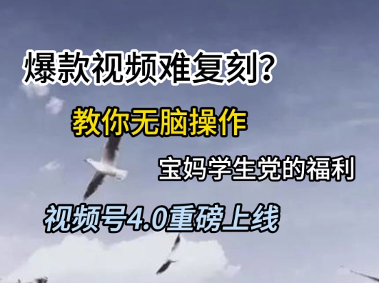 视频号4.0重磅上线,爆款视频难复刻?教你无脑操作宝妈学生党的福利【揭秘】网赚项目-美肚杀分享