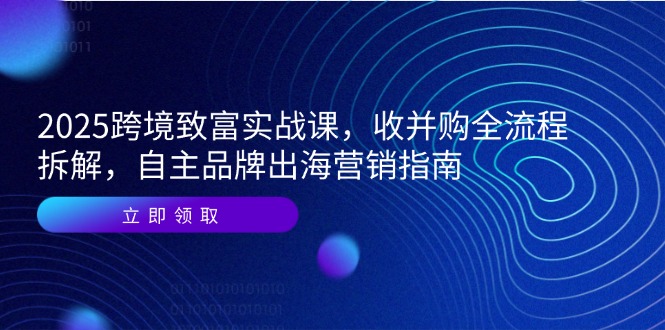 2025跨境致富实战课，收并购全流程拆解，自主品牌出海营销指南网赚项目-美肚杀分享
