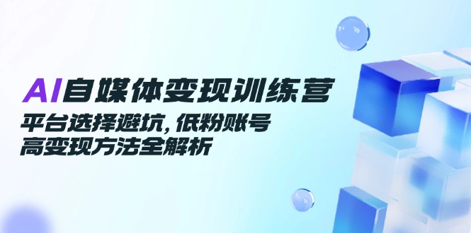 AI自媒体变现训练营，平台选择避坑，低粉账号高变现方法全解析网赚项目-美肚杀分享