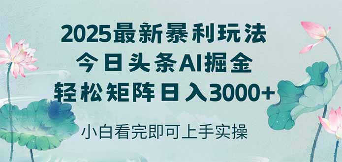 今日头条2025年最新暴利玩法，思路简单，复制粘贴，轻松实现矩阵日入3000+网赚项目-美肚杀分享