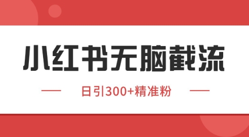 小红书截流同行客源，独家野路子获客玩法 日引200+暴力获客【揭秘】网赚项目-美肚杀分享